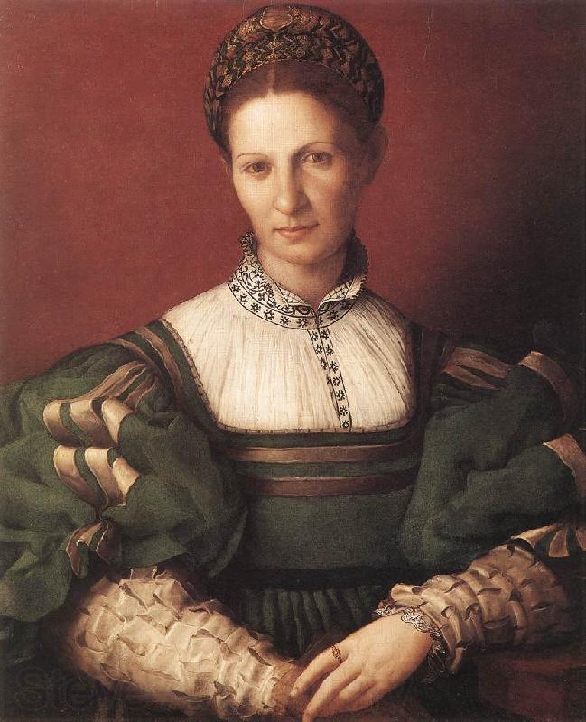 BRONZINO, Agnolo Portrait of a Lady in Green